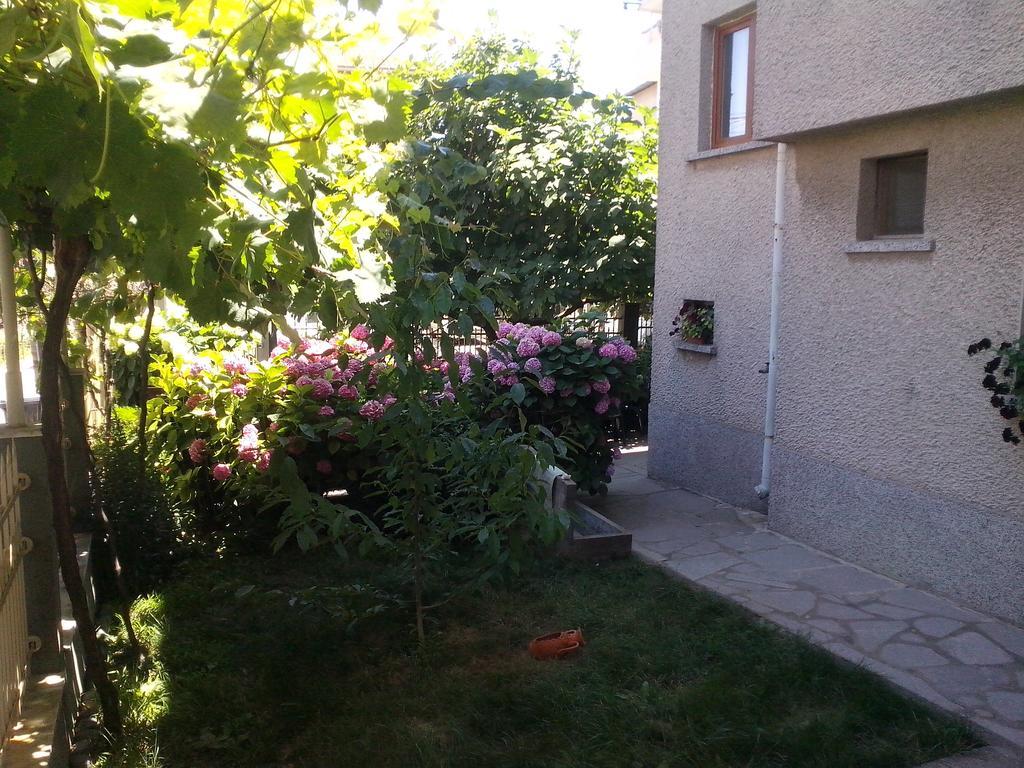 Guest House Krasi Csernomorec Kültér fotó